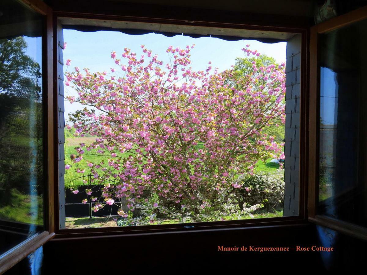 Rose Cottage Pontrieux 外观 照片