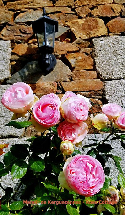 Rose Cottage Pontrieux 外观 照片