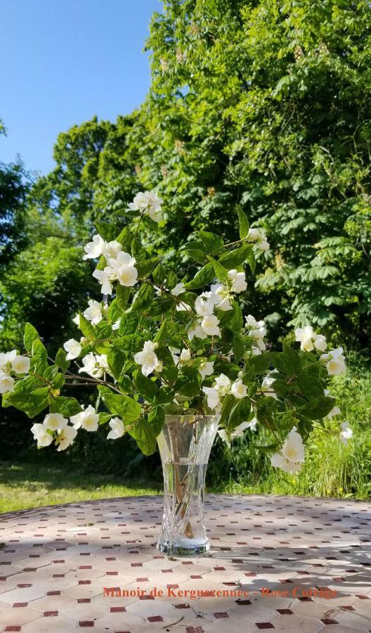 Rose Cottage Pontrieux 外观 照片
